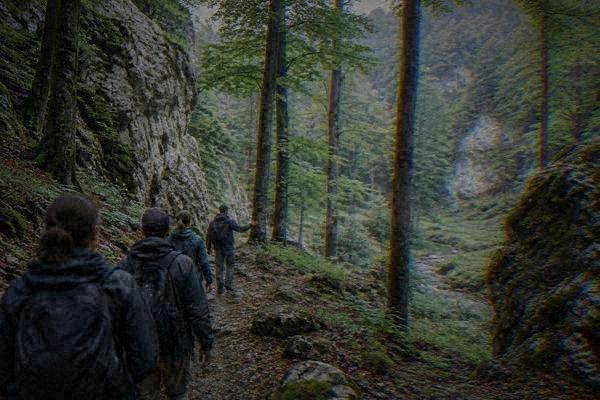 A guide and a small group on a forest path between pale limestone outcrops and tall beech trees, Moravian Karst