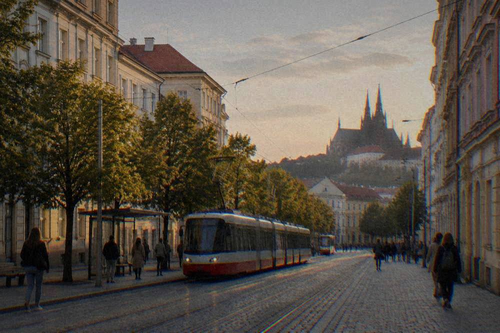 Trams and pedestrians at a stop on a tree-lined street in central Brno