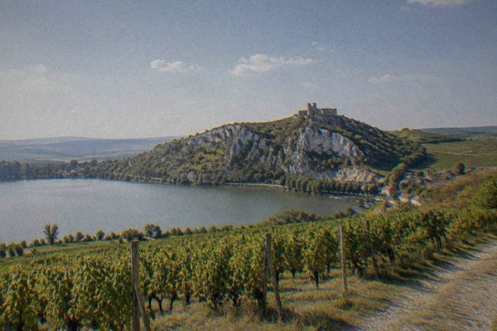 Rolling vineyards and hills of the Pálava region near Mikulov in South Moravia at golden hour