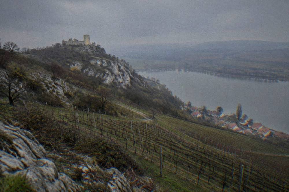 Vineyard rows on the Pálava hills above the South Moravian countryside