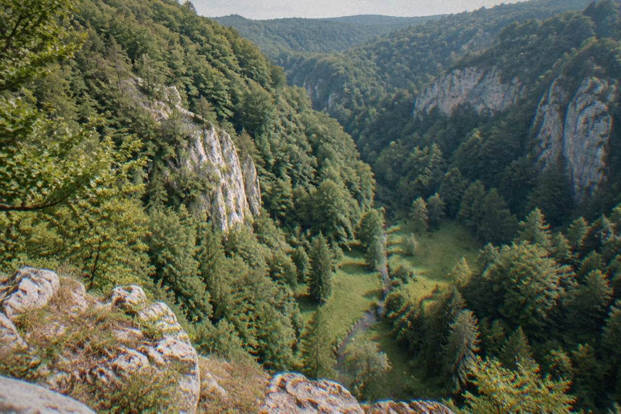 Limestone cliffs and forested hills of the Moravian Karst landscape north of Brno