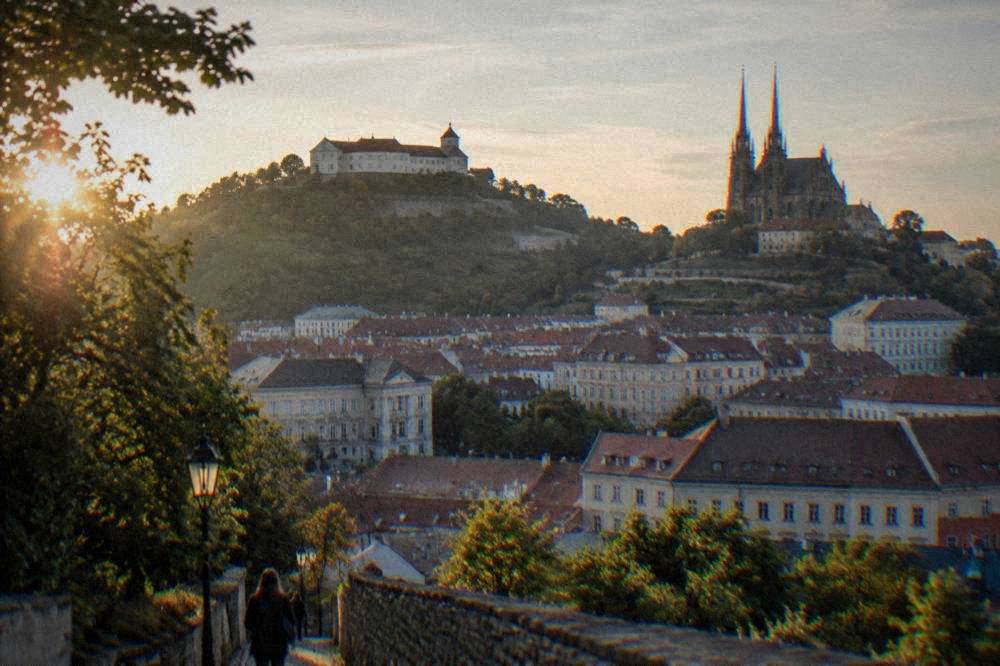 Twin gothic spires of a cathedral rising above terraced gardens and rooftops