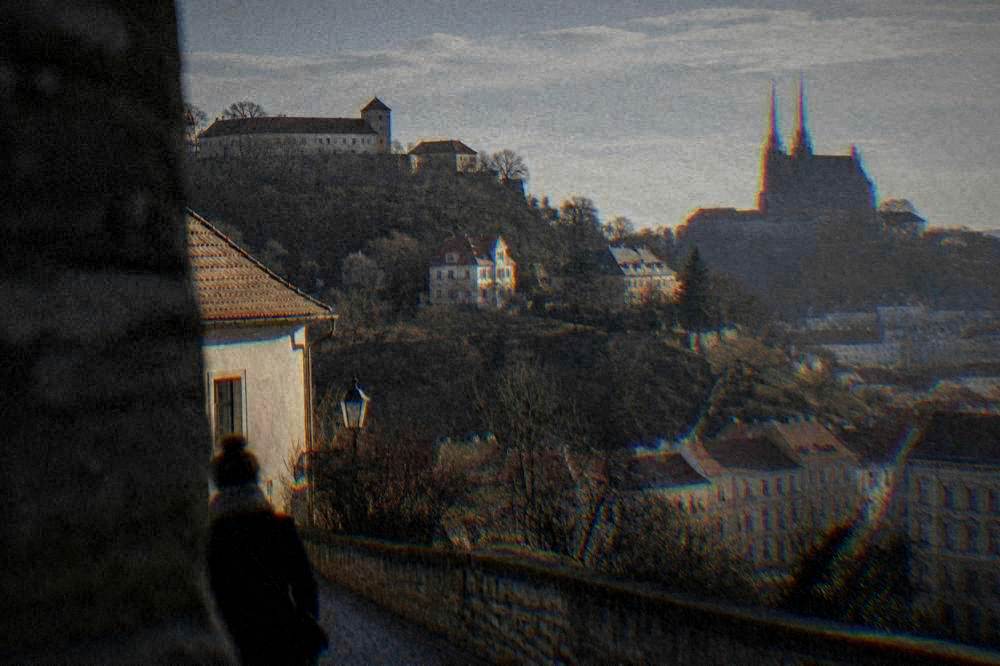 Hillside below a castle with villas and trees