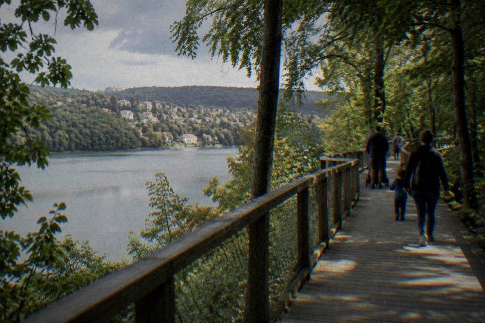A wooden walkway through trees above a lake, with families walking along it