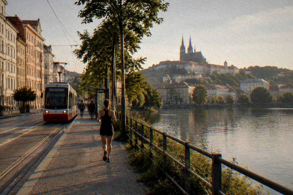 A tram arriving at a stop near a lake shore with trees and a footpath