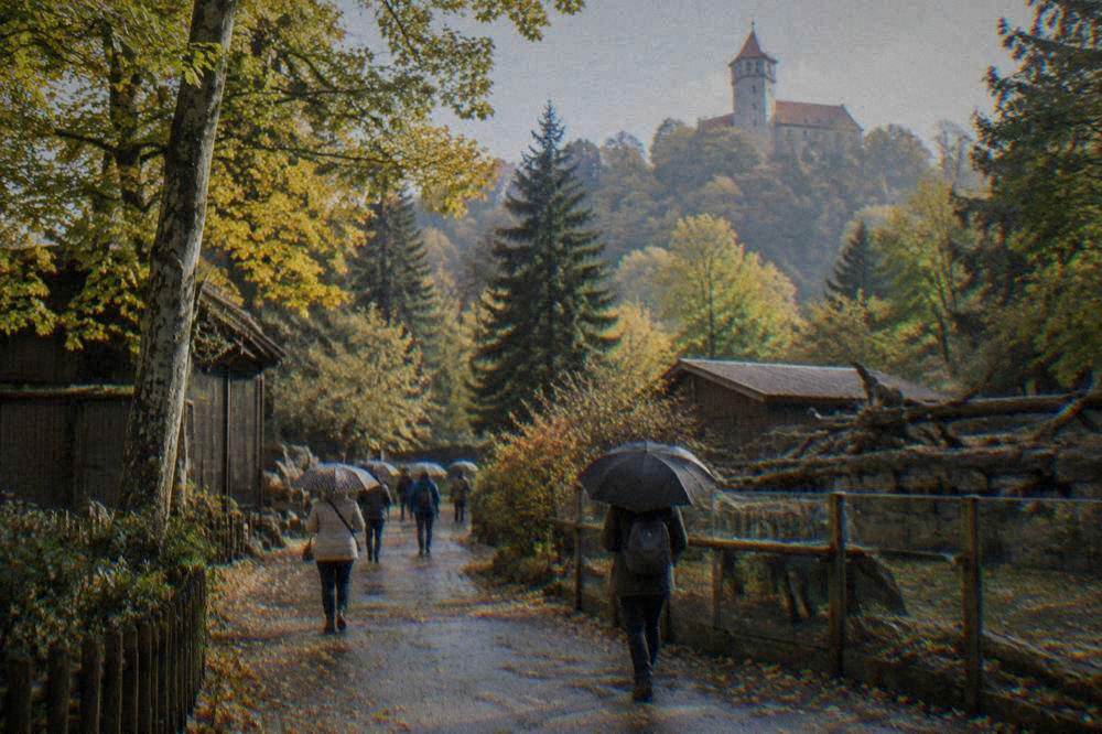 Visitors with umbrellas walking between enclosures on a wet zoo path with autumn leaves