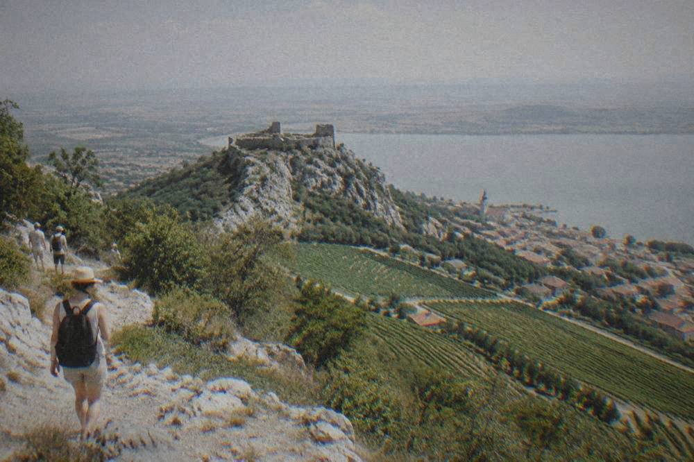 A vineyard-covered hill with a small town and castle below under a summer sky