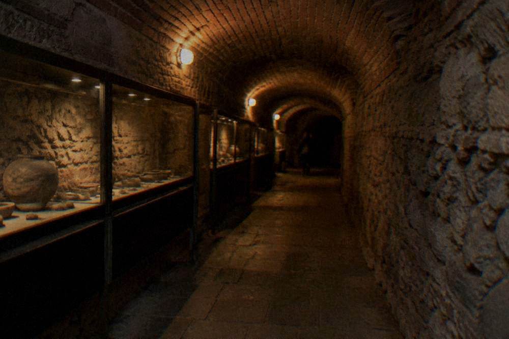 Dimly lit arched brick cellar corridor with display cases along one side