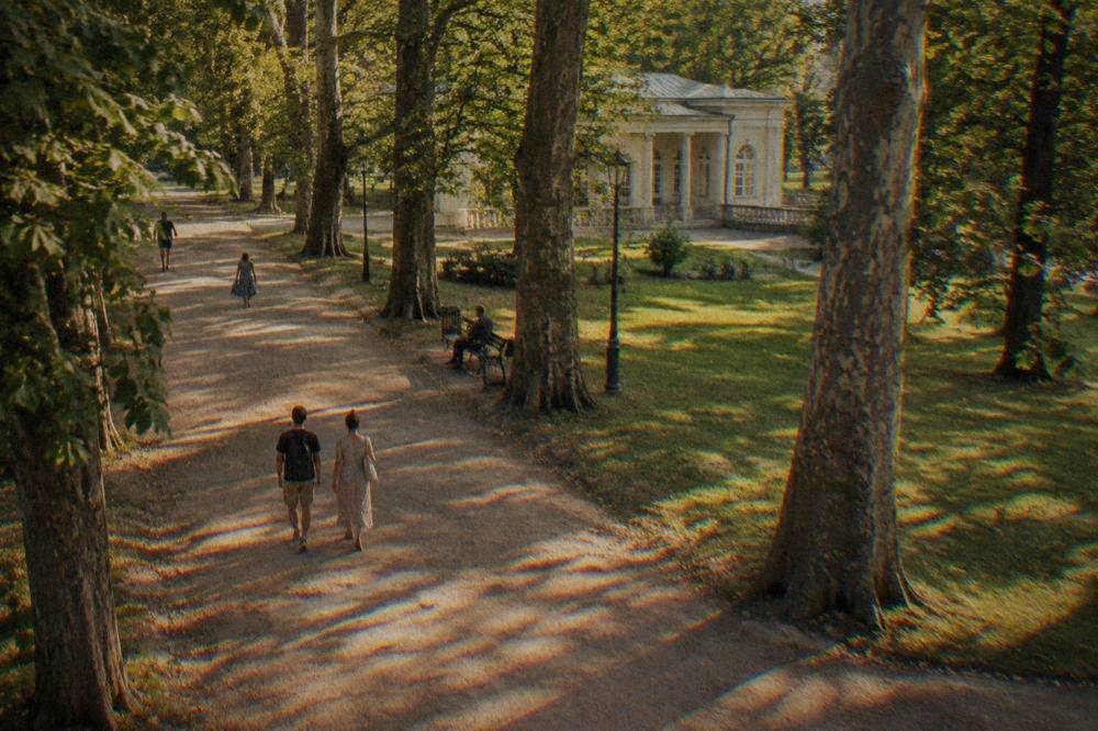 Tall mature trees lining a park path with dappled sunlight on the gravel walkway