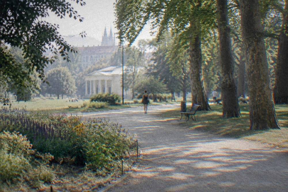 Flowerbeds with seasonal blooms beside a curving path in a city park