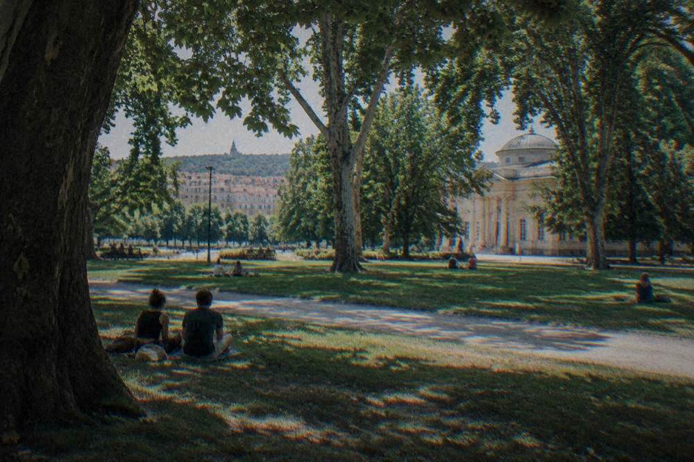 People relaxing on grass under large shade trees in a public park
