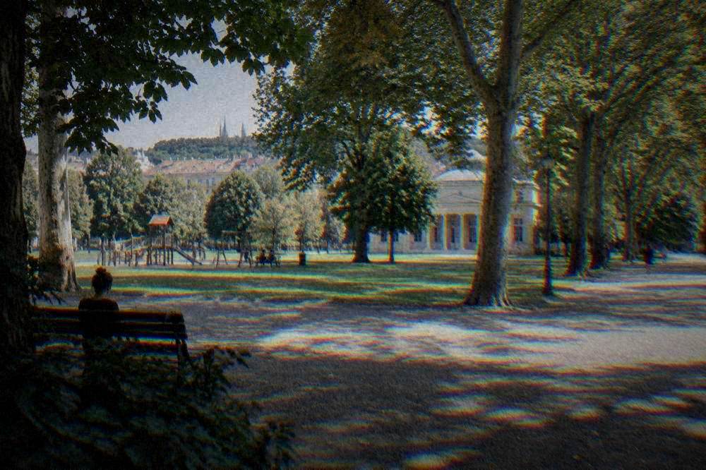 Open green park with a play area and trees