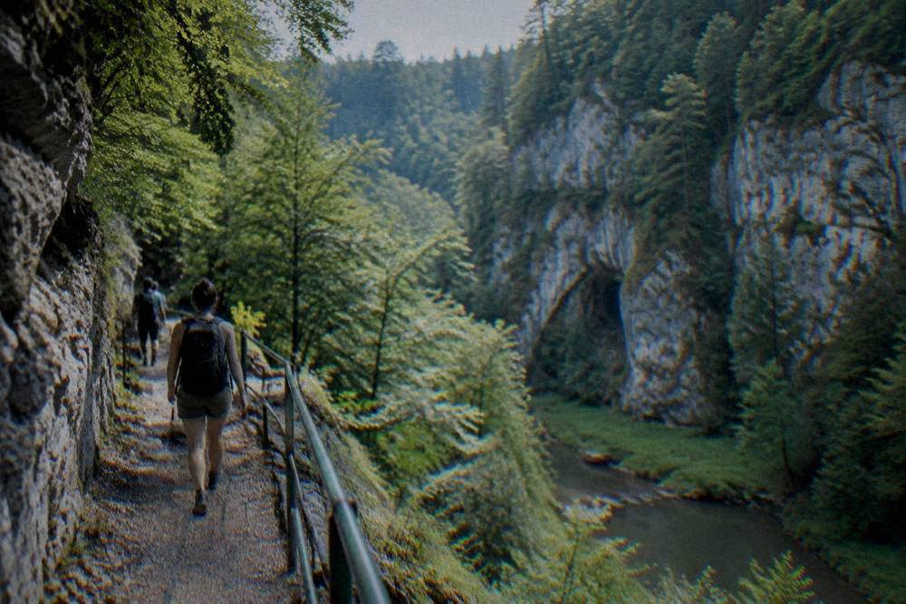 A limestone gorge in the Moravian Karst with forested cliffs above a walking trail