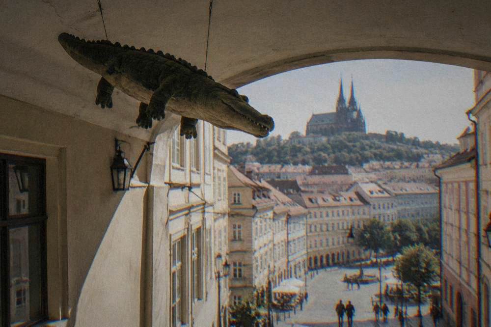 A stuffed crocodile hanging from the ceiling of a passage in Brno