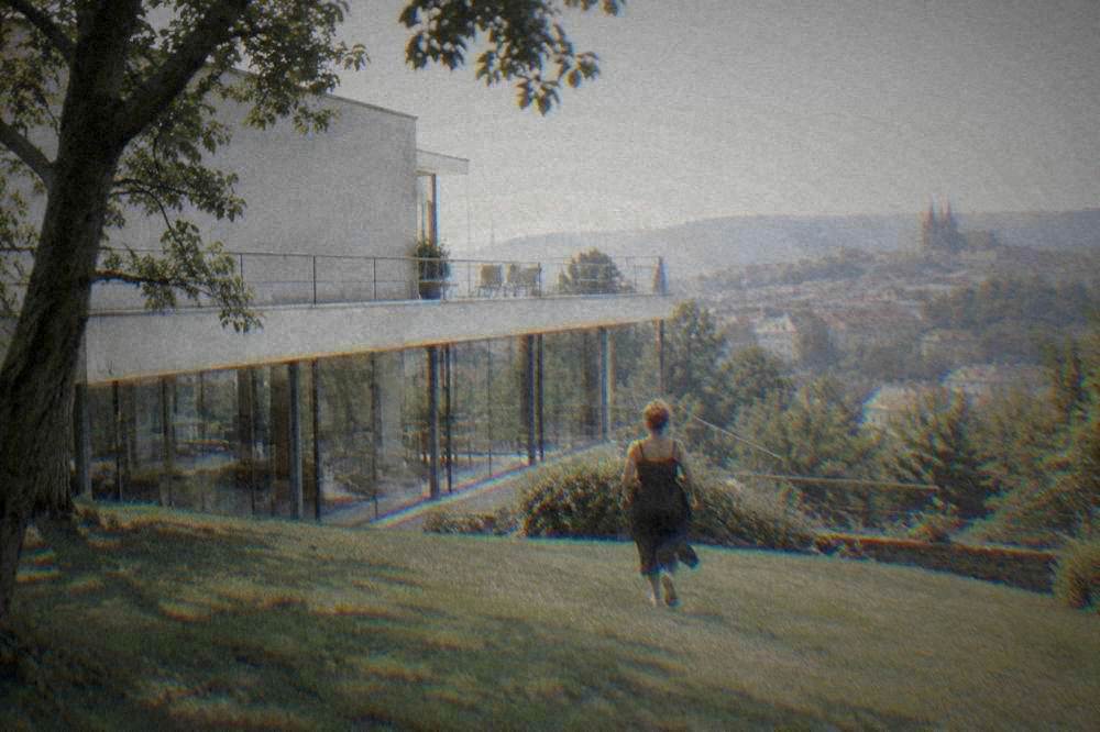 Low white modernist villa with a long glazed facade above a garden