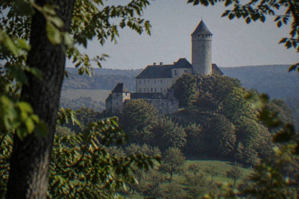 Old stone walls and a tower of a hilltop castle seen through trees