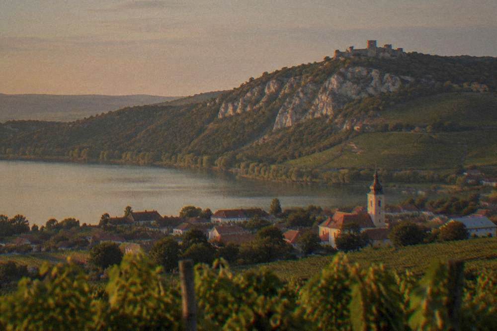 Vineyard-covered hills above a small South Moravian town at golden hour