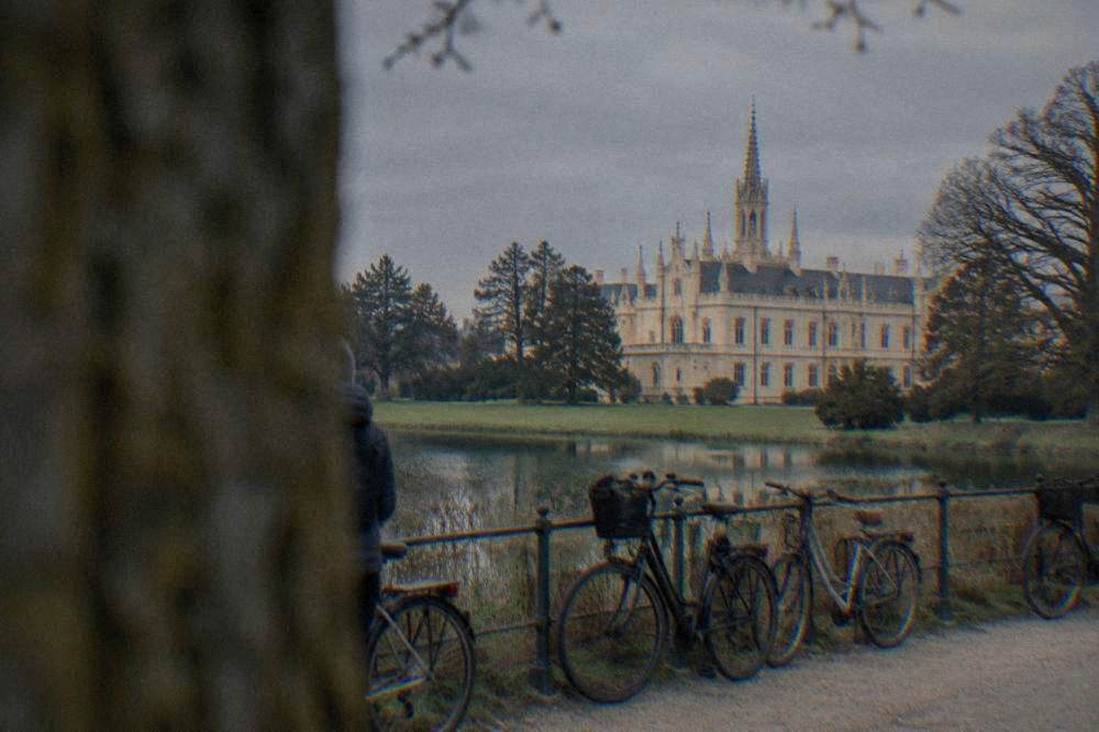 A row of bicycles parked against a railing beside a fishpond with reeds