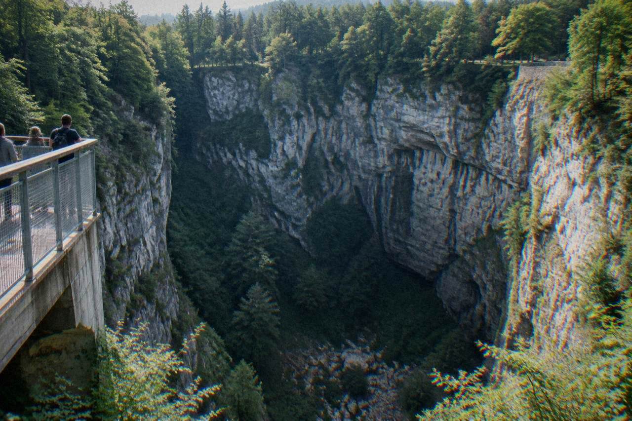 A deep forested sinkhole with cliffs rising around a rocky floor, seen from a viewing bridge