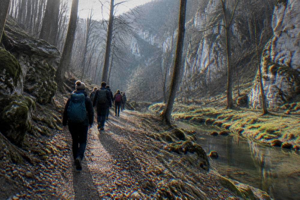 A group of walkers with backpacks on a trail through karst woodland