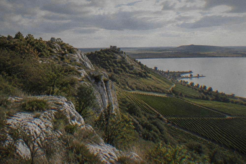 Limestone slopes of the Pálava hills with rows of vineyards below
