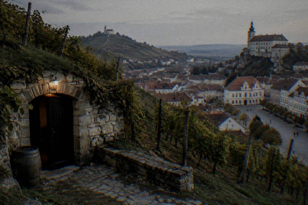 A stone wine cellar door set into a hillside among vines