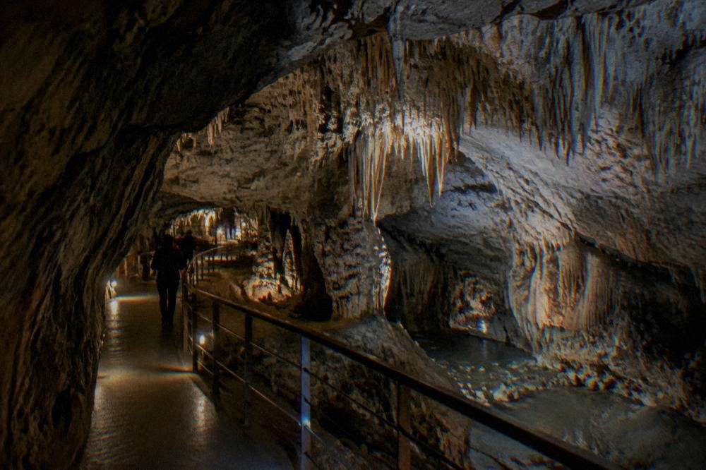 Illuminated stalactite formations along a walkway inside a limestone cavern