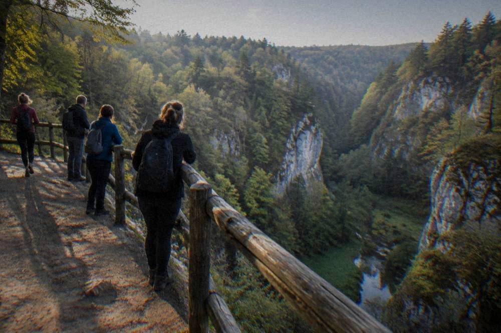 Visitors at a wooden railing looking down into a wide forested rocky gorge
