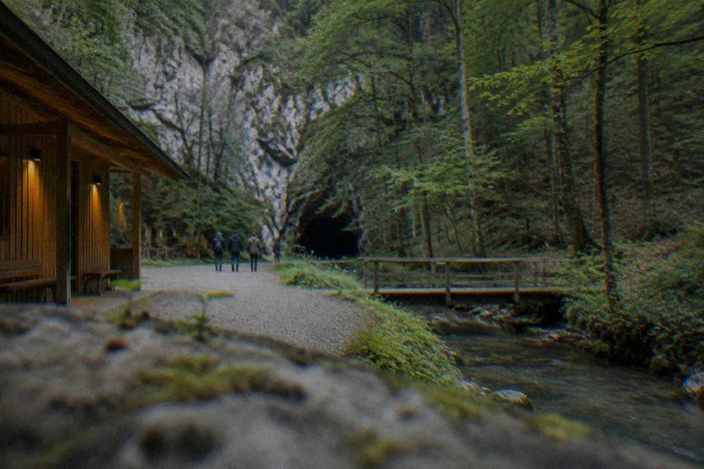 A small wooden visitor building at the edge of a forest clearing near a cave entrance