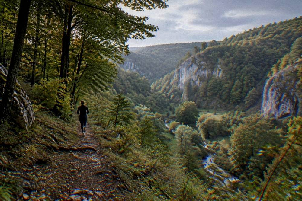 Late afternoon light over forested hills with rocky outcrops near Brno