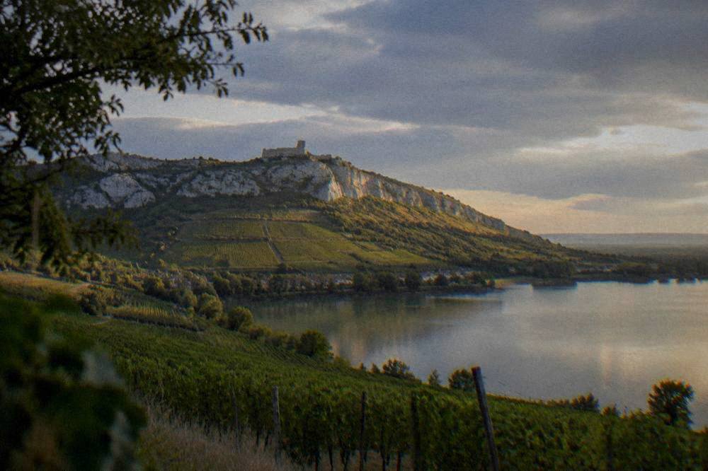 Sunset light over a limestone ridge with vineyards and a still reservoir in the foreground