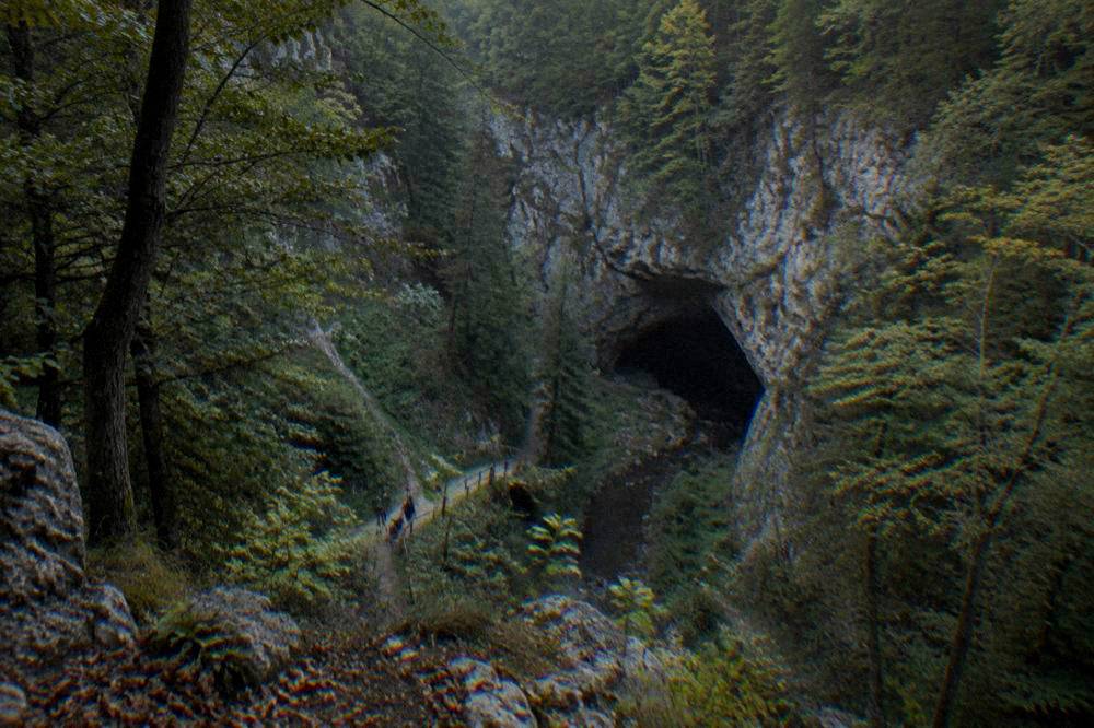 A limestone gorge with a cave entrance and forested cliffs in the Moravian Karst