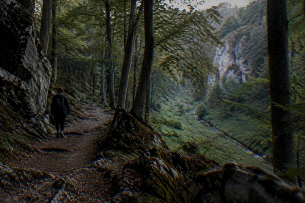 A forest trail through limestone woods with rocky outcrops in the Moravian Karst