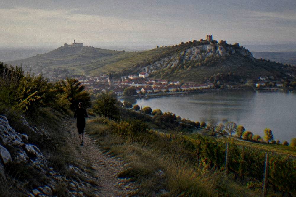 A vineyard-covered hill above a small Moravian town with a castle on the skyline