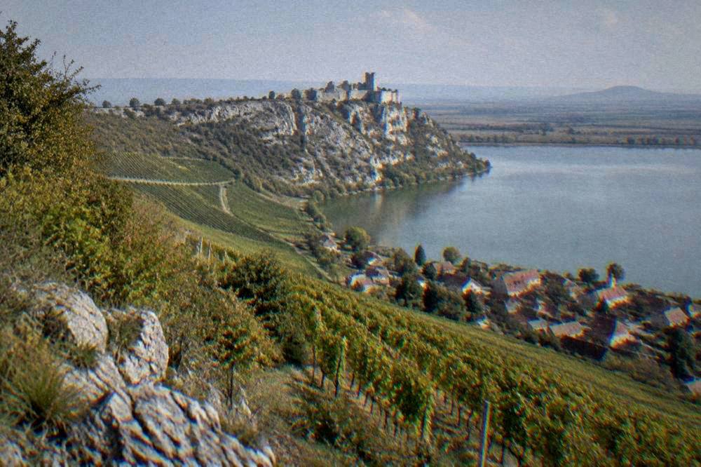Vineyard rows on hills above a South Moravian village near Brno