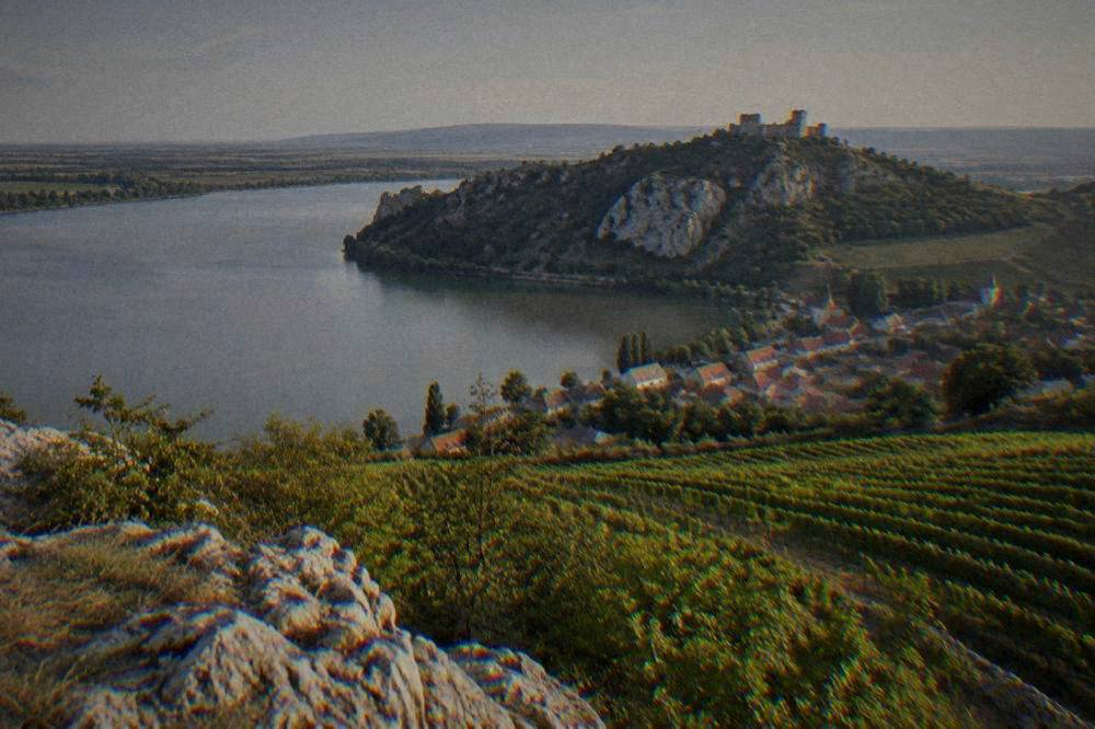 Vineyard rows on hills above a South Moravian village at golden hour