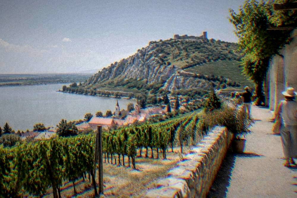 Vineyard rows on hills above a South Moravian village under a summer sky