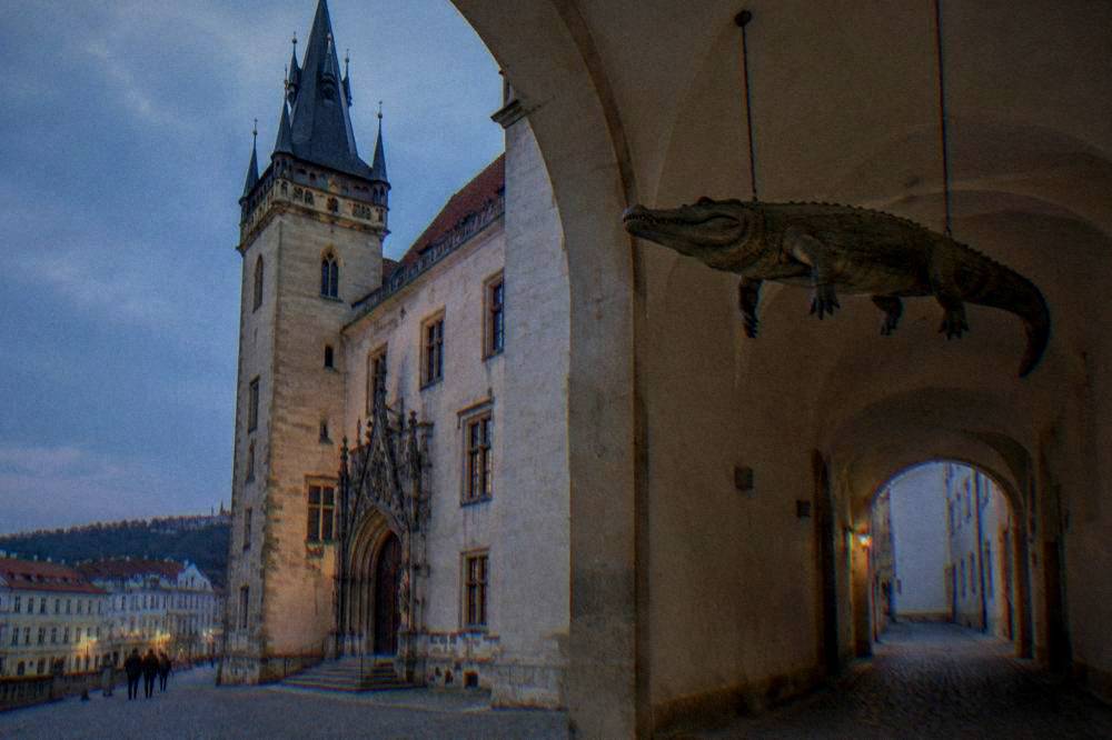 Crocodile sculpture hanging from a ceiling in the Old Town Hall passage in Brno
