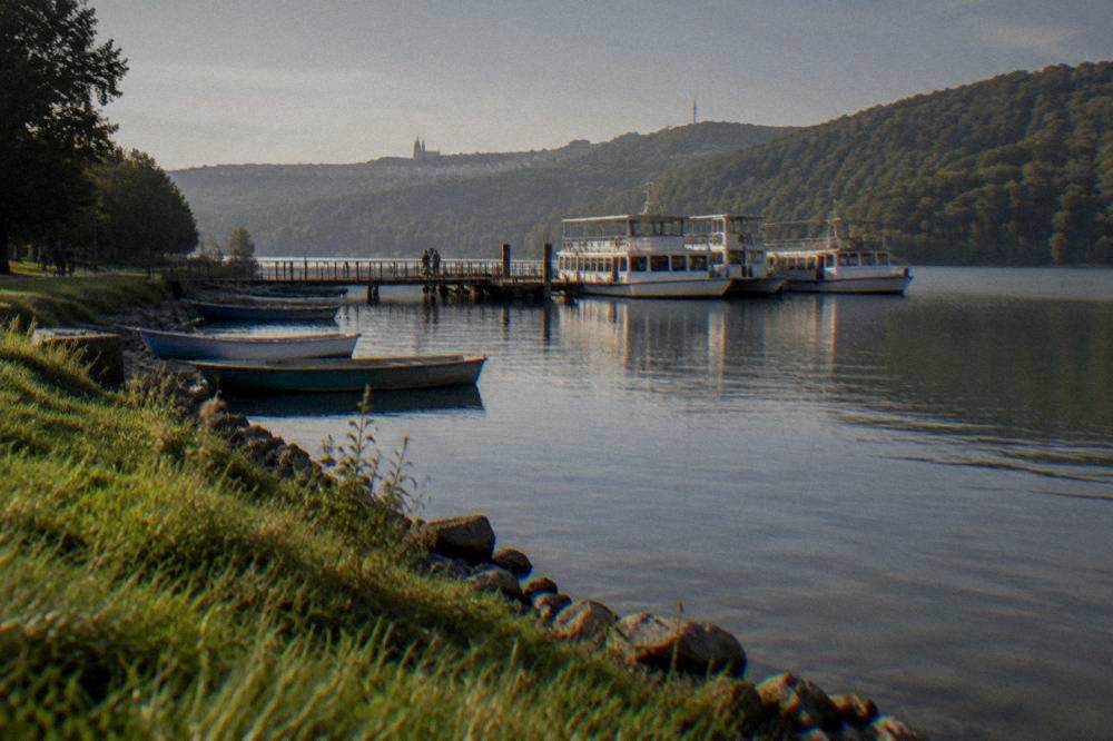A calm lake shore with forested slopes at the Brno Reservoir
