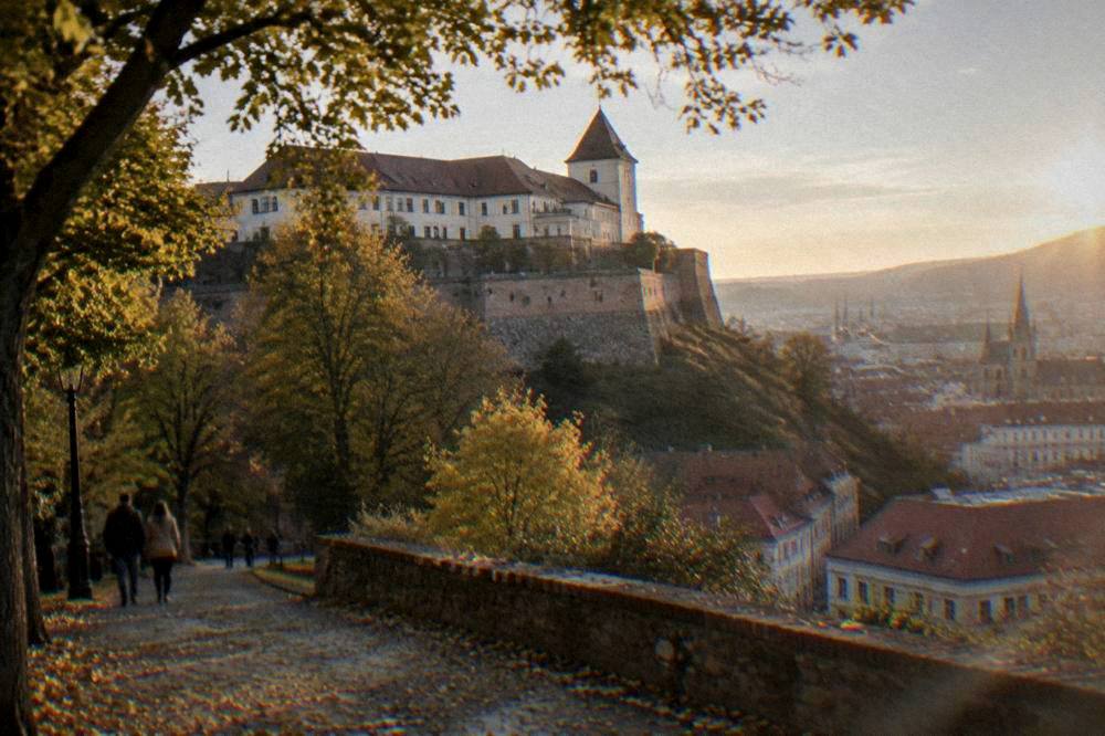 Autumn leaves around the footpaths below Špilberk Castle in Brno