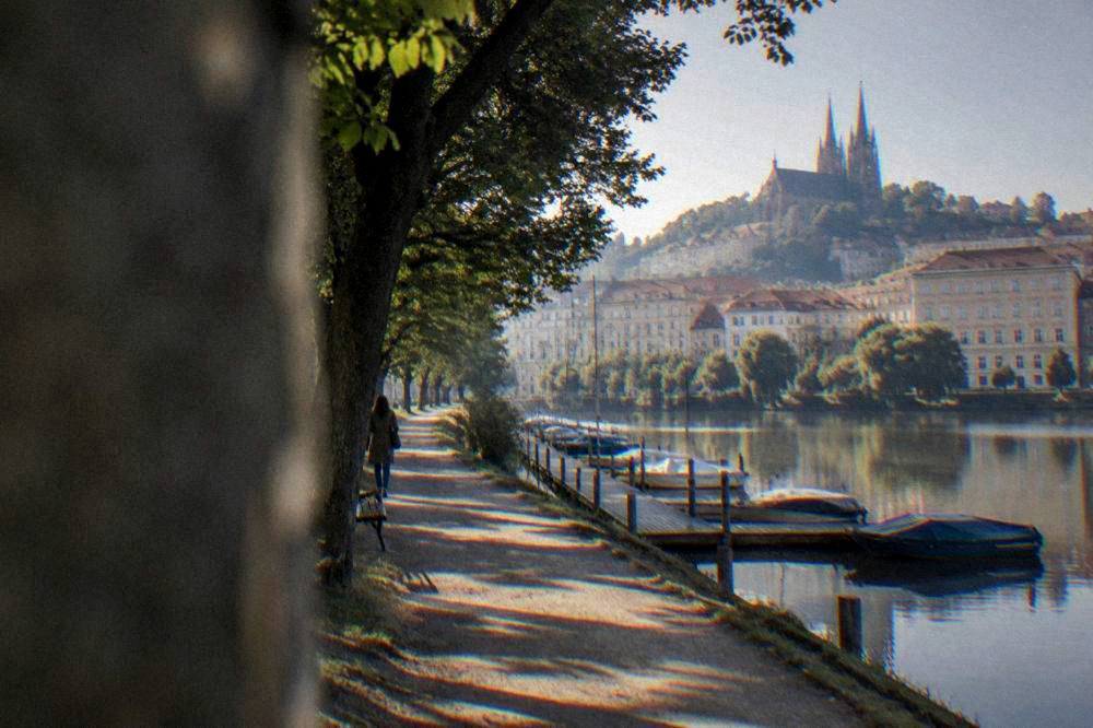Tree-lined path beside a lake with boats moored along a wooden pier