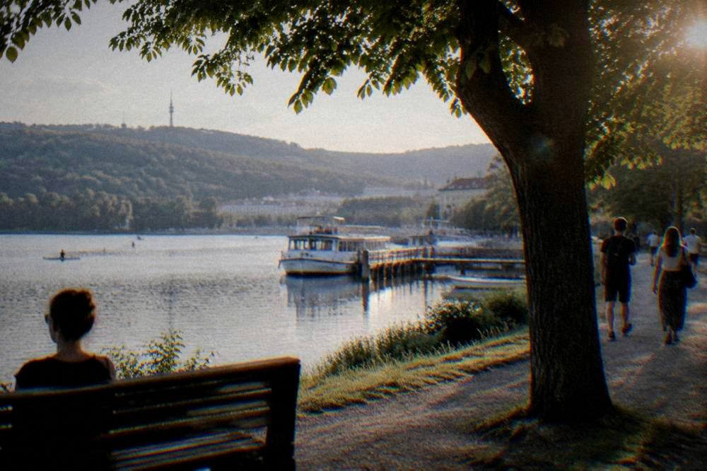 People strolling along a lakeside promenade under trees in late afternoon light