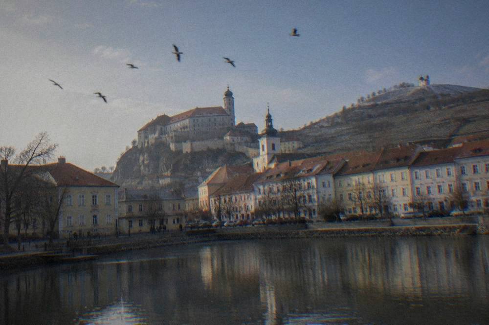 White storks flying over Mikulov's castle and rooftops