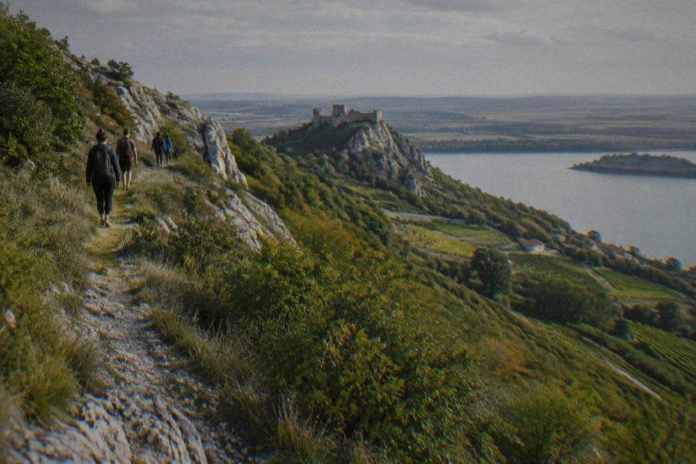 Hikers walking a ridge path above terraced vineyards