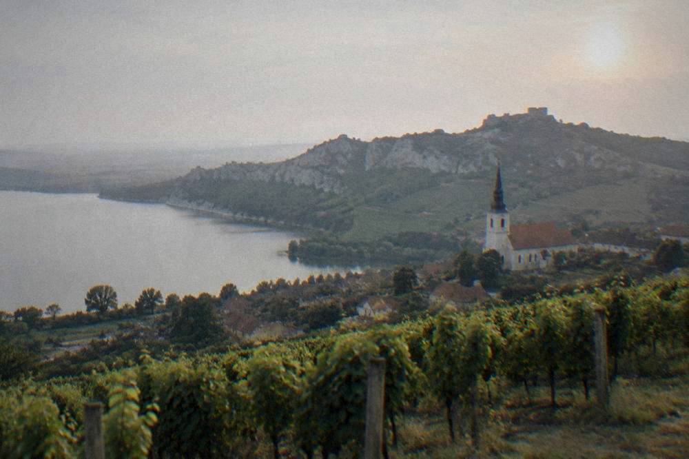 Evening light over a South Moravian village church among vineyards