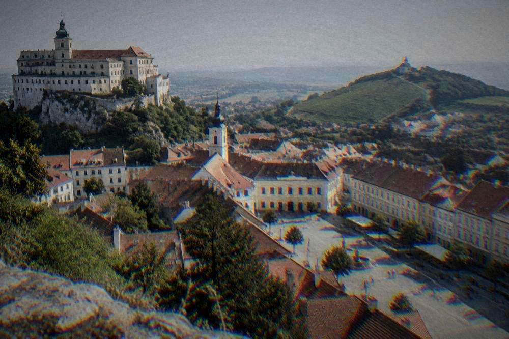 Rows of vines on gentle hills with a village in the haze