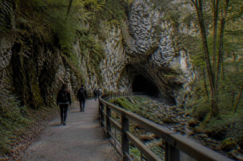 A forested limestone gorge with a walkway leading toward a cave entrance