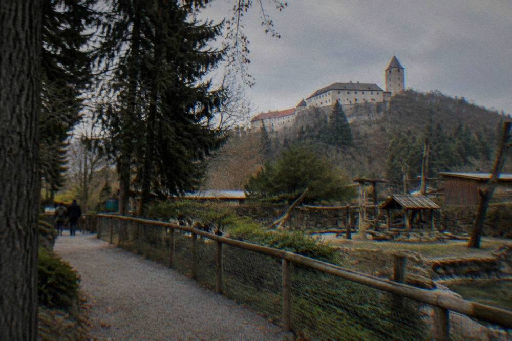 Large stone castle on a forested hill seen from a walking path