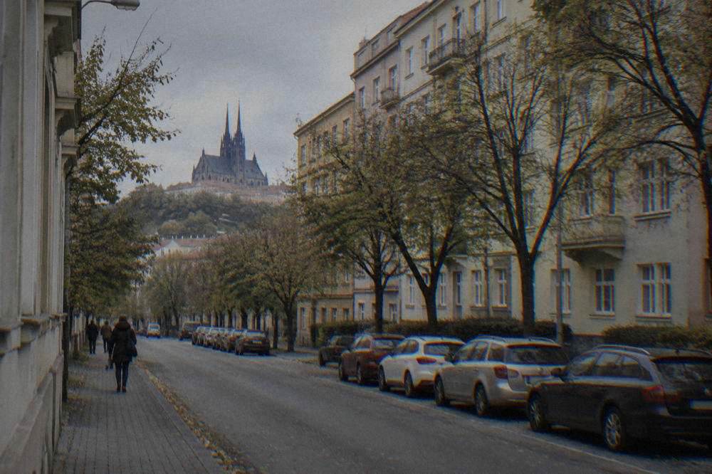 A tree-lined residential street in Brno with rows of pale apartment blocks from the interwar years
