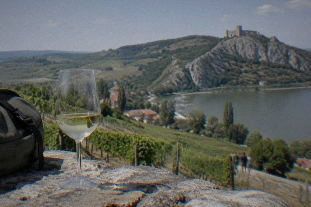 Vineyard-covered hills of South Moravia under a wide sky